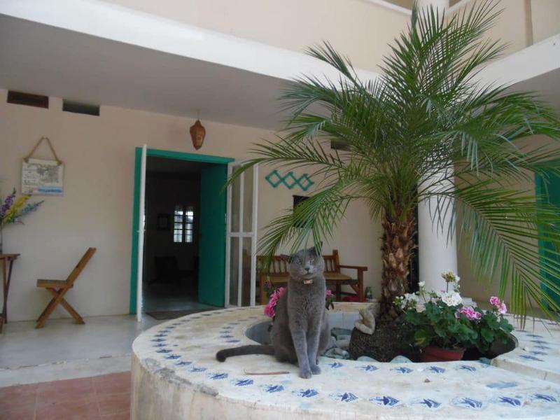 Posada James San Luis Potosi Ngoại thất bức ảnh